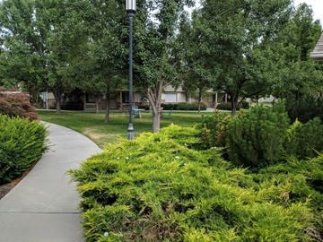 Brigham City apartment for rent - a walkway through a park with trees and bushes