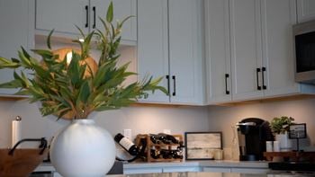 A vase with a plant in it sits on a counter.