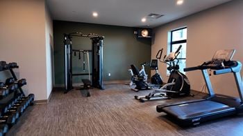 A gym with treadmills, elliptical machines, and a weight machine.