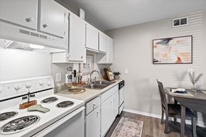 Mobile apartment for rent - A modern kitchen with white cabinets and a stove top oven.