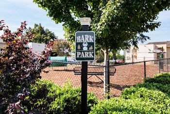 Dog park