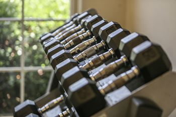 Free weights