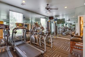 Farragut apartment for rent - a gym with cardio machines and a ceiling fan