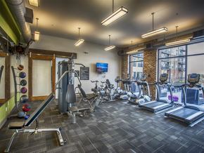 Tuscaloosa apartment for rent - a gym with weights and cardio machines and a window