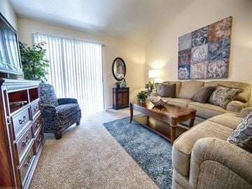 Tuscaloosa apartment for rent - a living room with a couch and a chair