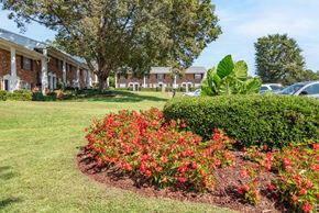 Tuscaloosa townhouse for rent - a flower bed with red flowers in front of a building