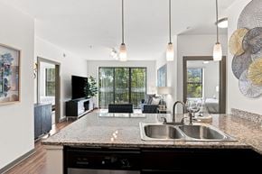 Tuscaloosa apartment for rent - A modern kitchen with a granite countertop and a sink.
