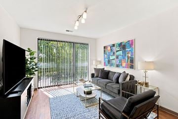 Tuscaloosa apartment for rent - A living room with a black couch, a television, and a painting on the wall.