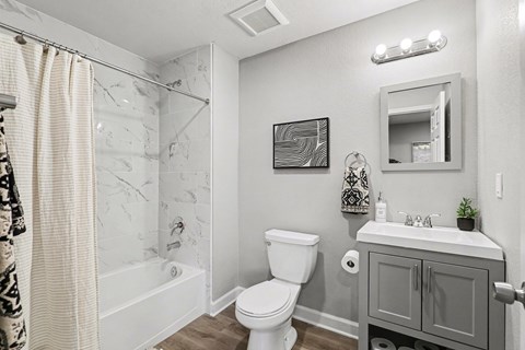 Floor plan for studio, 1 bath, 500 sqft