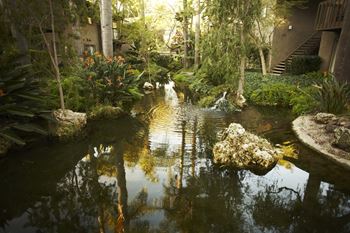 A small pond in a garden with a waterfall and a tree reflected in the water.