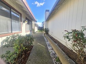 Pittsburg apartment for rent - A narrow pathway between two white buildings with green plants on the sides.