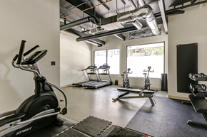 Seattle apartment for rent - A gym with a treadmill, elliptical machines and a rowing machine.