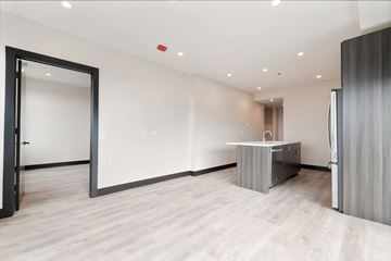 Chicago apartment for rent - a renovated room with a kitchen and a door to a closet