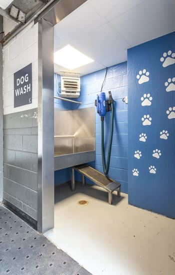 Dog wash
