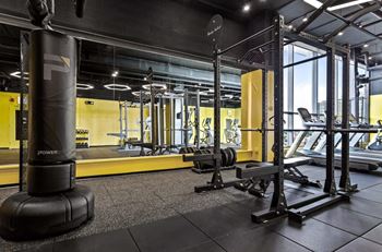 Free weights