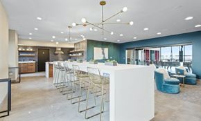 Chicago apartment for rent - Clubhouse lounge