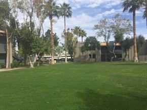 Phoenix apartment for rent - a large lawn with palm trees in front of a building