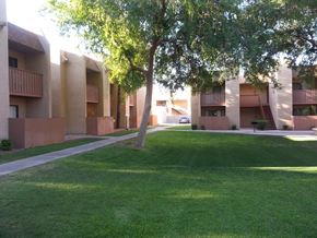 Phoenix apartment for rent - Desert Meadows apartments grass courtyard