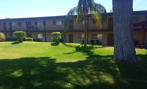 Phoenix apartment for rent - Camelback Properties apartments in Phoenix, AZ Grass Courtyard