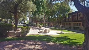 Phoenix apartment for rent - Camelback Properties apartments in Phoenix, AZ Grass Courtyard