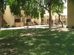 Phoenix apartment for rent - Desert Meadows apartments grass courtyard