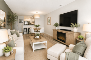 Durham apartment for rent - A living room with a fireplace and a television.