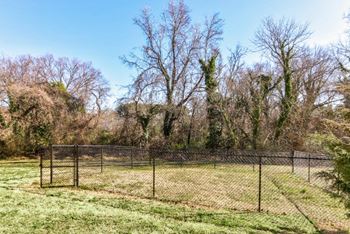 A fenced grassy area