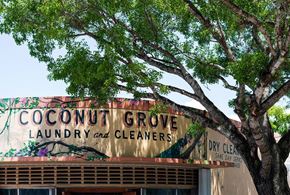 Miami apartment for rent - a sign for coconut grove laundry and cleaners in front of a tree