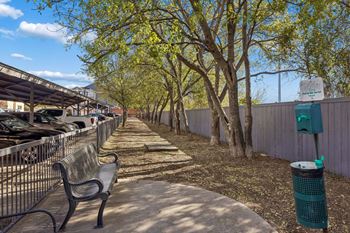 Park with a bench
