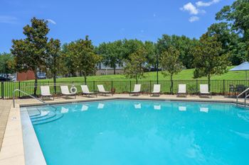 Pool surrounded by trees
