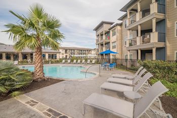 Pool area with palm tree