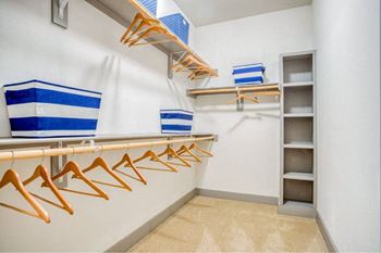 Built-in shelving in closet