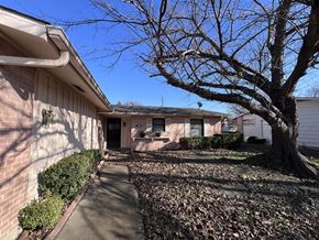 Dallas apartment for rent - A tree with no leaves stands in front of a house.
