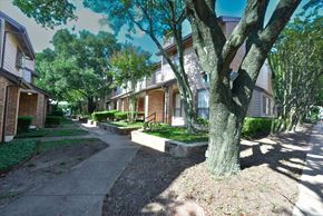 Dallas townhouse for rent - A tree in front of a building with a concrete pathway.