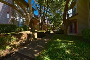 Dallas townhouse for rent - A tree-lined pathway in front of a row of houses.