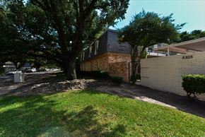 Dallas condo for rent - A tree in a yard with a house in the background.
