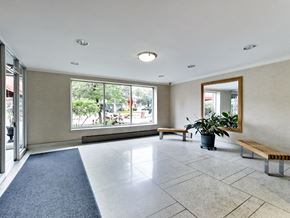 Toronto apartment for rent - an empty living room with a large window and a potted plant