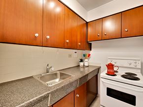 Toronto apartment for rent - A kitchen with a white stove and a sink.