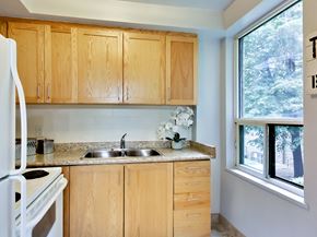 Toronto apartment for rent - a kitchen with wooden cabinets and a sink and a window