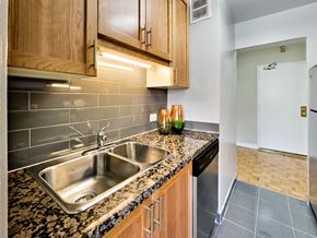 Toronto apartment for rent - a kitchen with a stainless steel sink and wooden cabinets