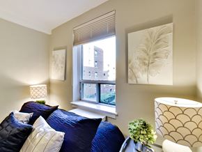 Toronto apartment for rent - a living room with a blue couch and a window