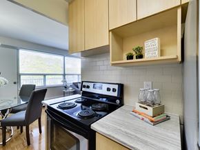 Toronto apartment for rent - a kitchen with a stove and a sink and a window