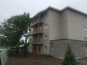 Kingston apartment for rent - a large apartment building with a tree in front of it
