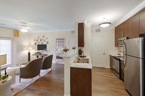 Chesapeake apartment for rent - Kitchen with upgraded quartz countertops, wood plank floors and stainless steel appliances; door to washer/dryer area; open to living room