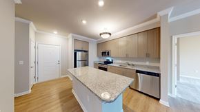 Virginia Beach apartment for rent - A kitchen with a granite countertop and wooden cabinets.