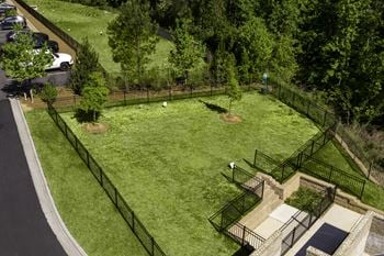 Bark park