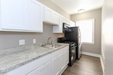 Lakewood apartment for rent - a kitchen with a sink and a refrigerator