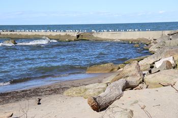 Walk to downtown rocky river, rocky river beach and restaurants