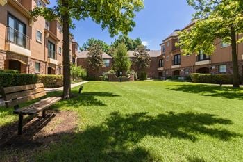 Grassy area
