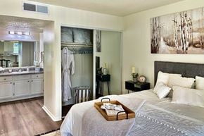 Dallas apartment for rent - Sleeping and living area in an Efficiency apartment at Cambridge Court Apartments in Dallas, Texas, showing the bed area, and access toward the bathroom and closet.